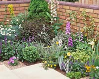 Terrace planting with perennials