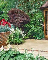 Terrace planting with ferns, shrubs and perennials