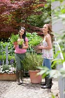 Young women in the garden with mixed herbs