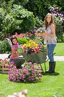Young woman with wheel barrow and annuals