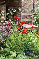Perennial mix with Papaver