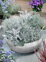 Fall plant container in silver shades