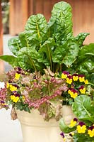 Plant container with annuals and vegetables