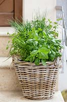Basket with mixed herbs