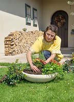 Planting of a stone bowl with annuals