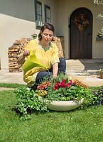Planting of a stone bowl with annuals - watering