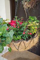 Planted hanging basket with annuals