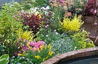 Plant border with shrubs and perennials