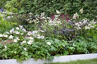 Perennial border with Anemone Wild Swan
