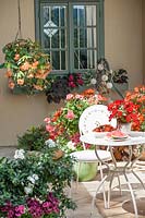 Terrace with fruit and annuals