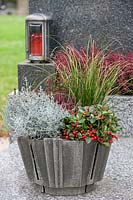Grave planting with Gaultheria