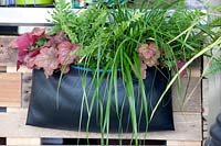Plant bag with perennials and ornamental grasses