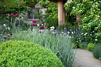 Garden design with ornamental shrubs and perennials