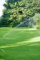 Lawn with watering system