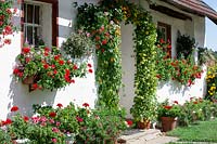 House facade with annuals