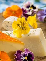 Impression with edible Viola and cheese