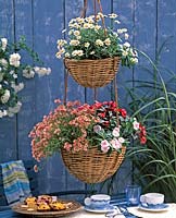 Ampeletagere from wicker baskets with: Diascia barbarae