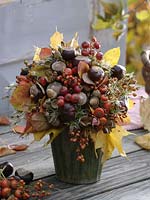 Autumn bouquet of wild fruits from the forest walk