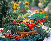 Basket of harvested vegetables
