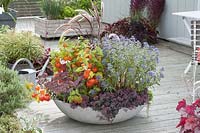 Width bowl Herbstzauber-planting