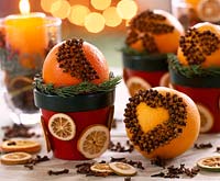 Citrus sinensis - oranges studded with cloves