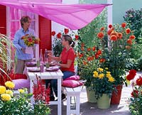Dahlias terrace with awning