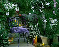 Evening balcony ( scent ): MOON WINDS, phlox, NICOTIANA,