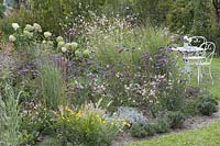 Flower bed with shrubs, grasses and herbs: Verbena bonariensis ( verbena