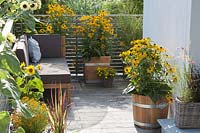 Lounge corner between yellow flowers: Rudbeckia fulgida 'gold rush'
