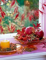 Malus ( red apples ), pink ( rose hips ), autumn leaves of Quercus ( oak )