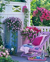 Petunias balcony with pink wooden deck