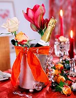 Pink - Rose, Hippeastrum - Amaryllis in champagne cooler, orange ribbon, glass