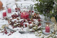 Snowy autumn wreath of pink ( rose hips ), Quercus ( acorns )