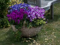 Spring display in wicker basket