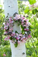 Wreath of Malus ( Ornamental ) and Thymus ( thyme ) to Betula