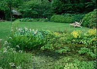 Natural pond with Menyanthes trifoliata ( Bogbean ) Pontederia cordata ( Pickerel weed ), Oenanthe ( Wasserfenchel ), on the banks of Hosta ( Hosta ), Alchemilla mollis ( lady's mantle )