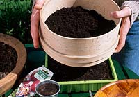 Vegetable planting 6. Step - Dark germinate easily sieve with soil ( cover ) 6/8