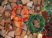 Wreaths of Physalis ( lantern ), Ilex ( Holly, Red Winter Berry )