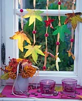 Autumn Leaves of Liquidambar ( sweetgum ) strung hanging in the window