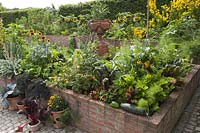 Cottage garden with vegetables and flowers in the summer raised bed