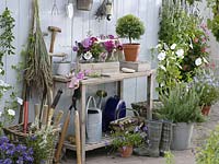 Worktable with small bouquets of summer flowers
