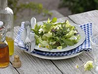 Salad with wild herbs - Bellis ( daisy ), Primula ( Primrose )