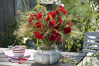 Standing bouquet of Papaver rhoeas ( Poppy ) and barley ( Hordeum )