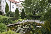 Pond with Nymphaea ( water lilies ), Boardwalk and gravel, Alchemilla