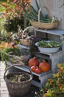 Baskets with vegetables - harvest from the garden