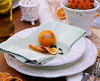 Citrus - orange slices, Clementine as a place card, cloves as napkins