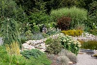Pond with ornamental shrubs, perennials and grasses