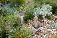 Rock garden with succulents and perennials