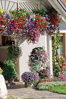 House entry with annuals