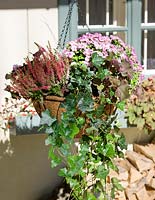 Hanging basket with fall plants
